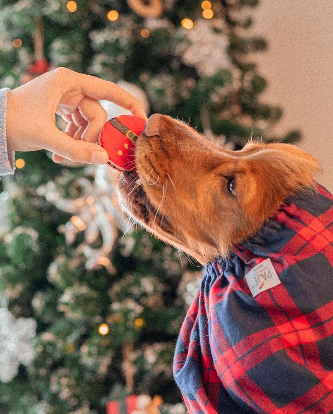 Cooka's Cookies Santa's Belly Macaronit - Christmas Gift Box