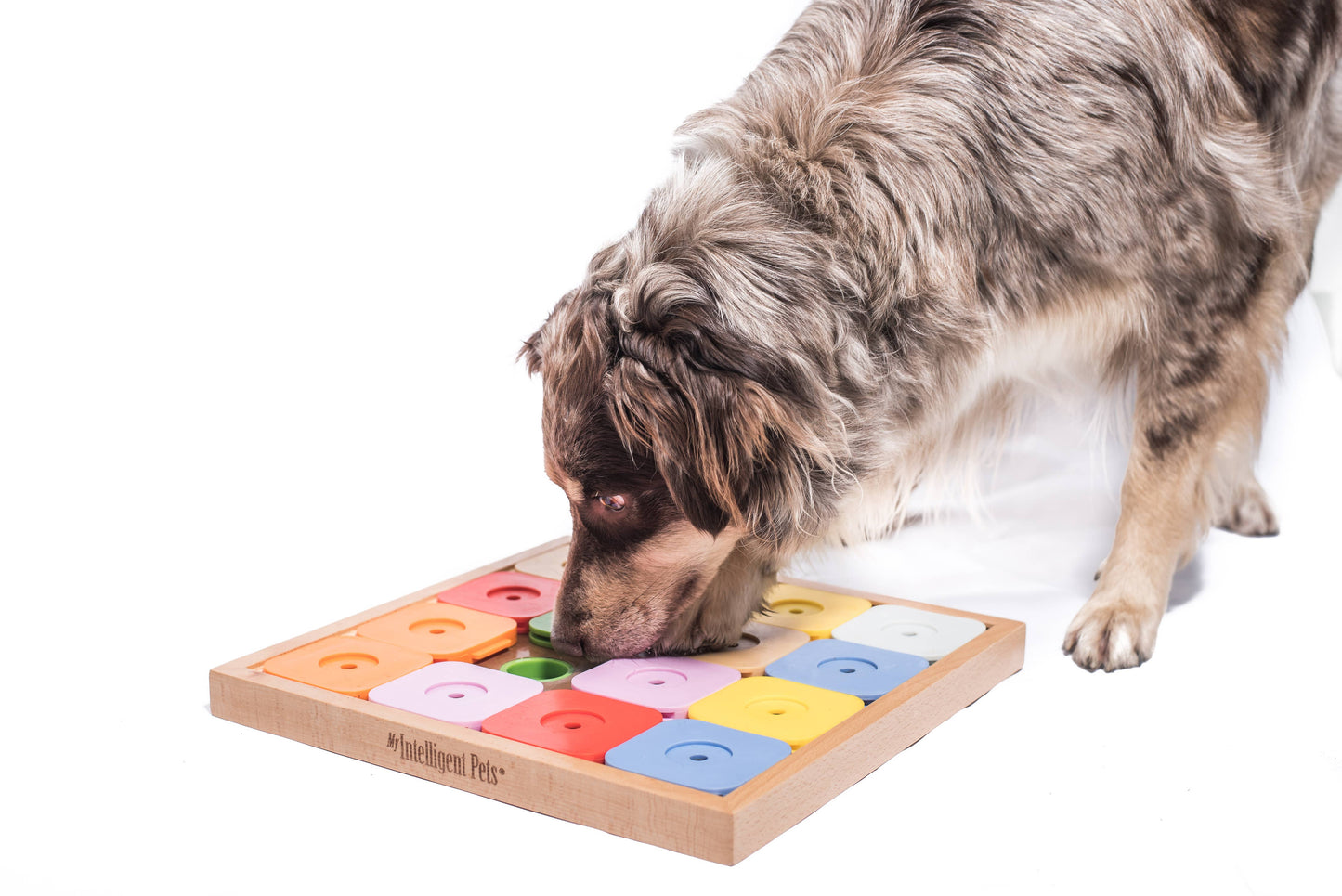 My Intelligent Dogs SUDOKU Large - Älypeli Korille
