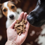Cooka's Cookies Beef Bones - Naudanlihakeksit 100g