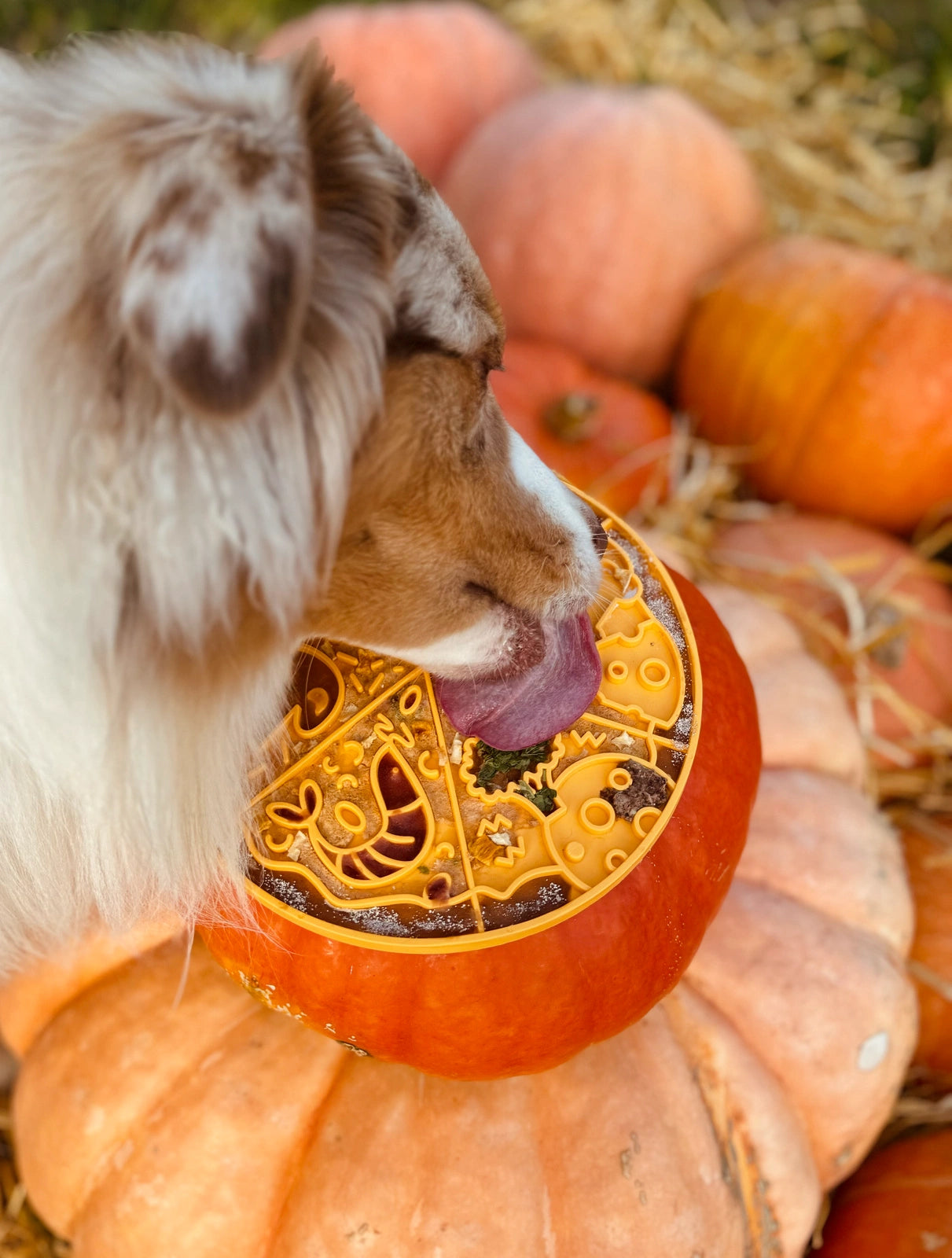 Fiboo Aktivointimatto - Fizza