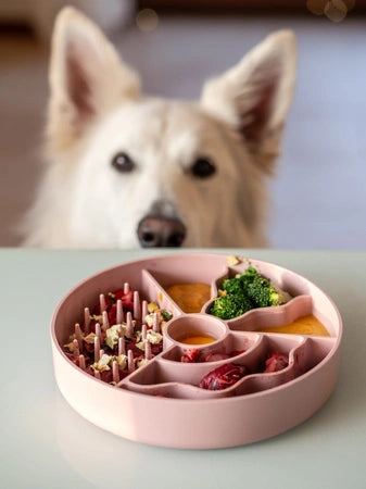 Fiboo Aktivointikuppi - Slow Fiboowl