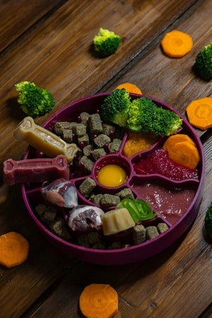 Fiboo Aktivointikuppi - Slow Fiboowl