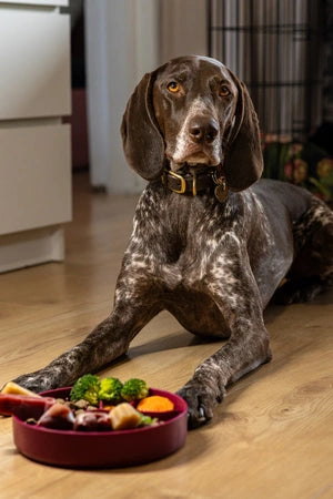 Fiboo Aktivointikuppi - Slow Fiboowl