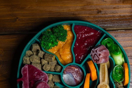 Fiboo Aktivointikuppi - Slow Fiboowl