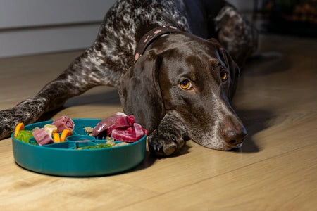 Fiboo Aktivointikuppi - Slow Fiboowl