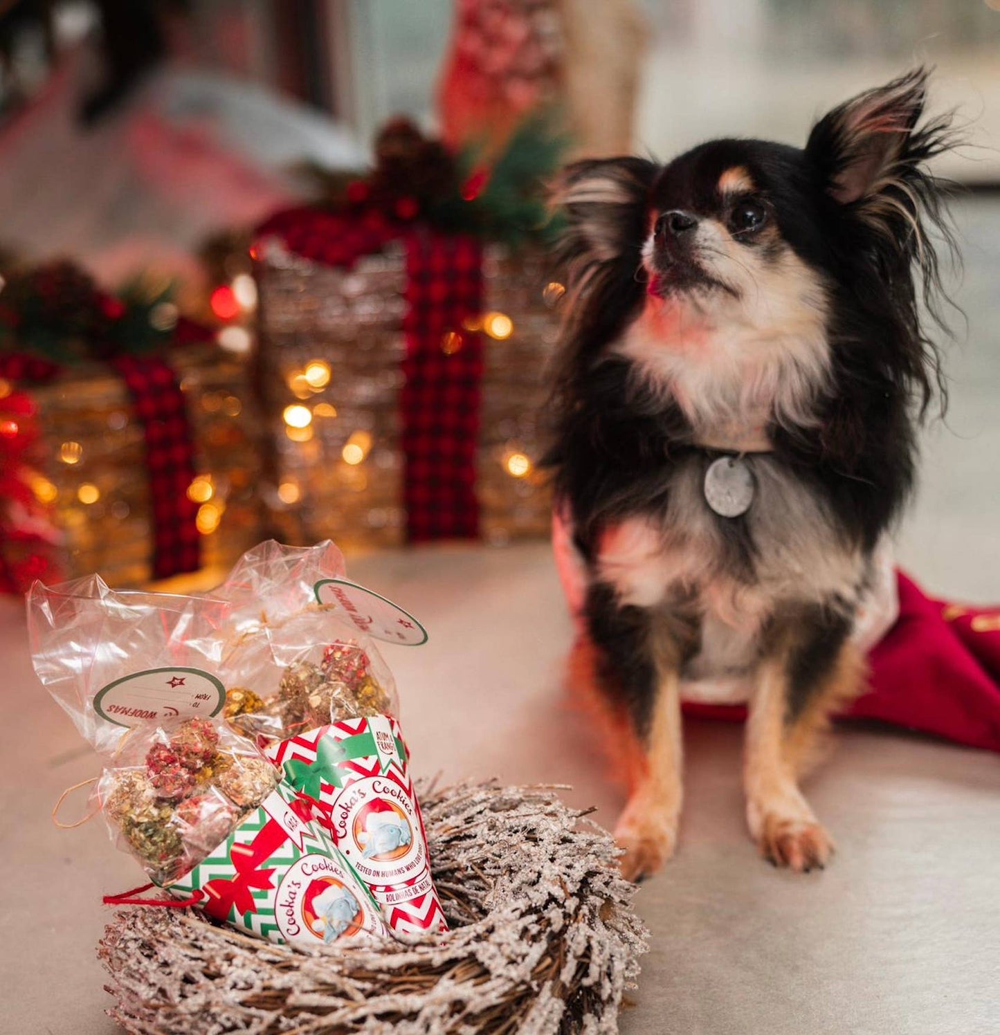 Cooka's Cookies Crunchy Woofmas Balls - Rapeat ja Luonnilliset Kana & Kalkkunaherkut Koirille