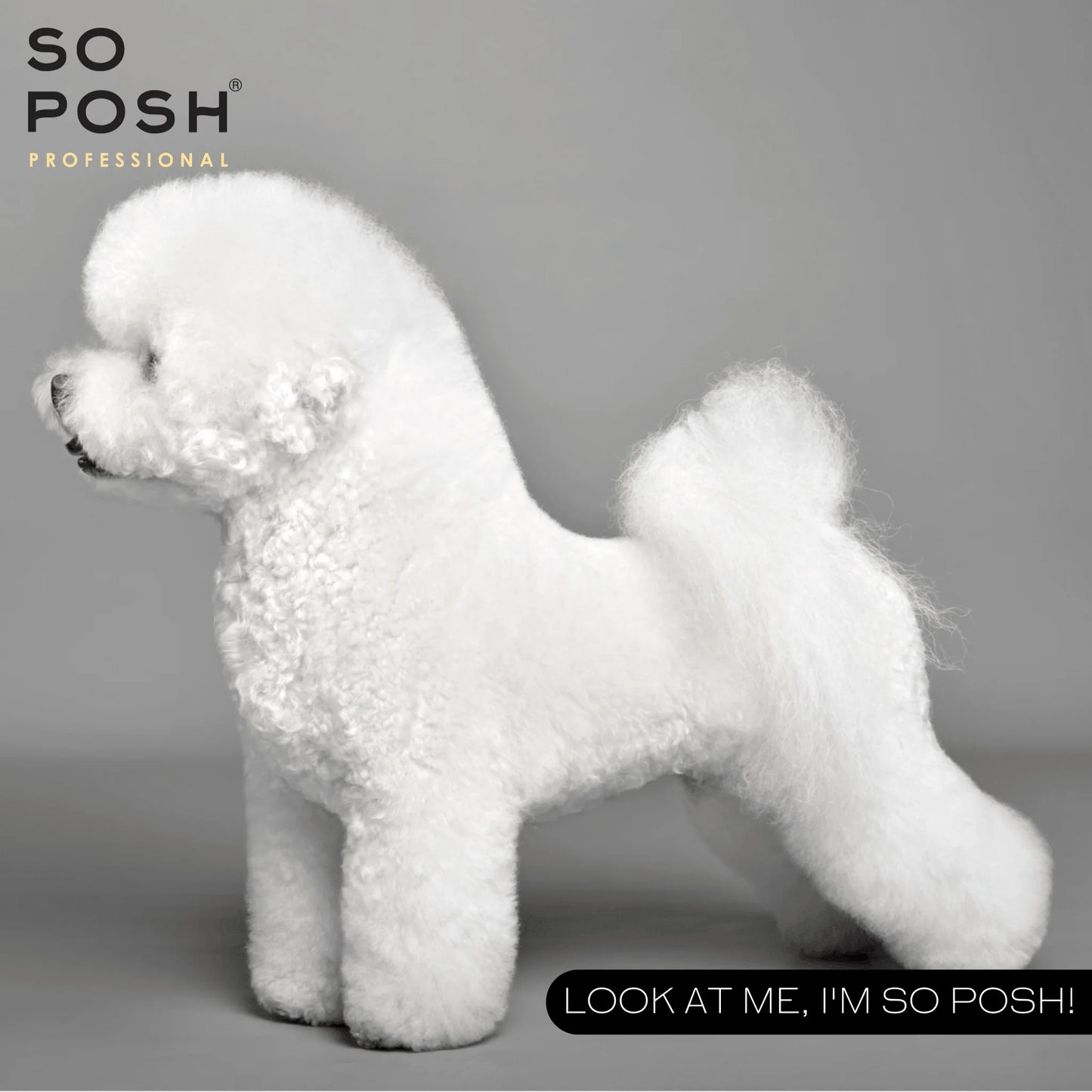 So Posh I'm So Puffy Shampoo - Eri kokoja