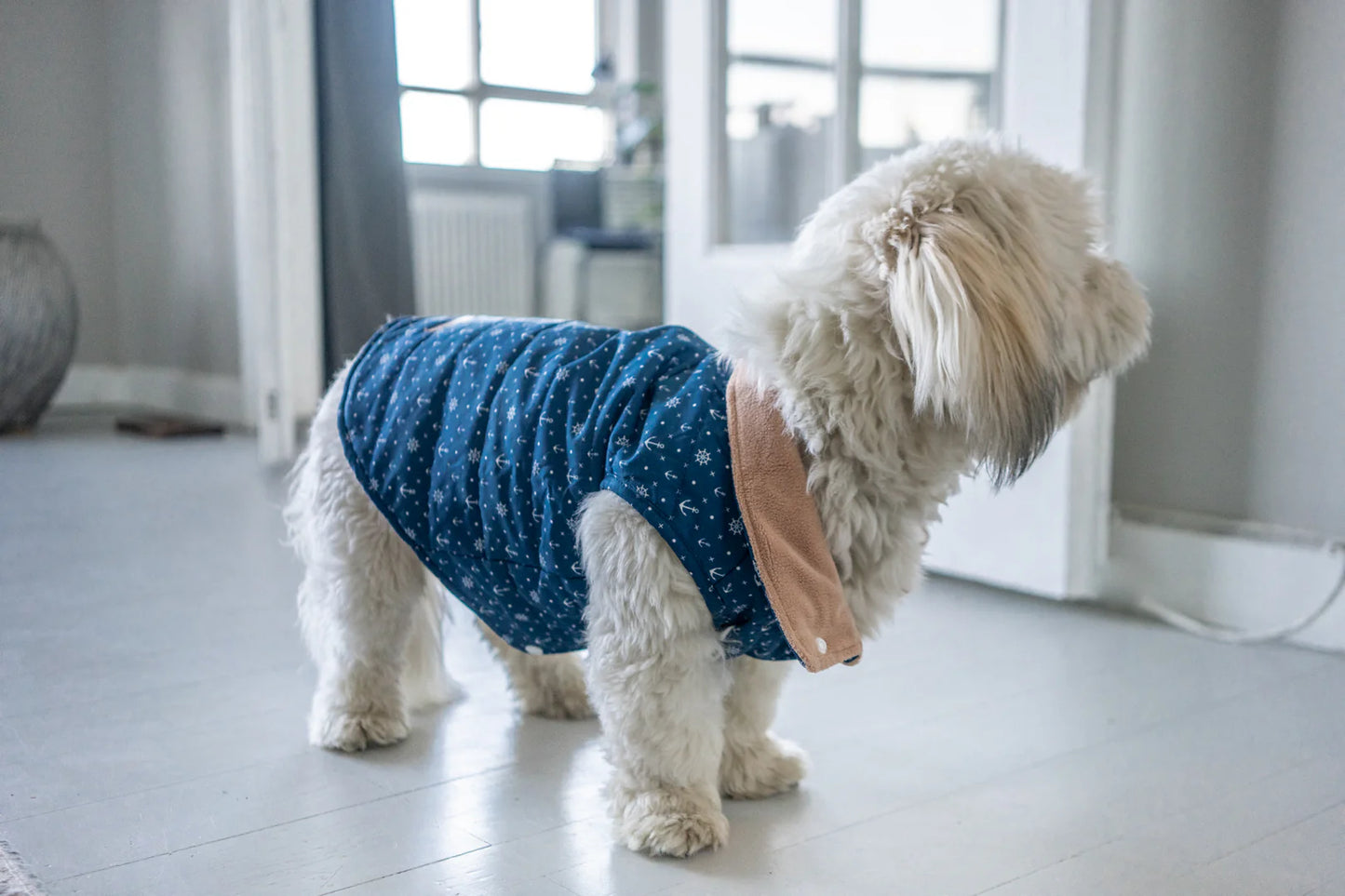 Puppy Bohéme Teddy Liivi - Sailor