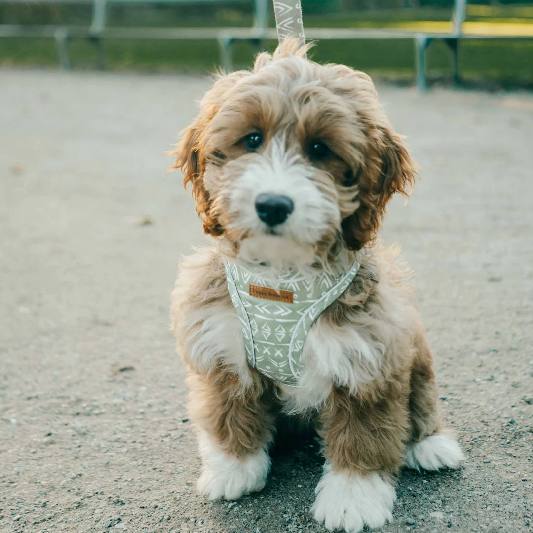 Puppy Bohéme Step-In Valjaat - Aztec