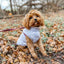 Puppy Bohéme Teddy Liivi - Winter Bloom