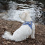 Puppy Bohéme Step-In Valjaat - Arrow