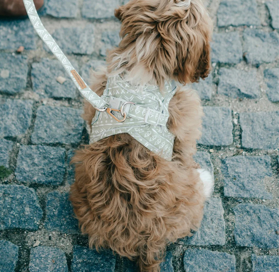 Puppy Bohéme Step-In Valjaat - Aztec
