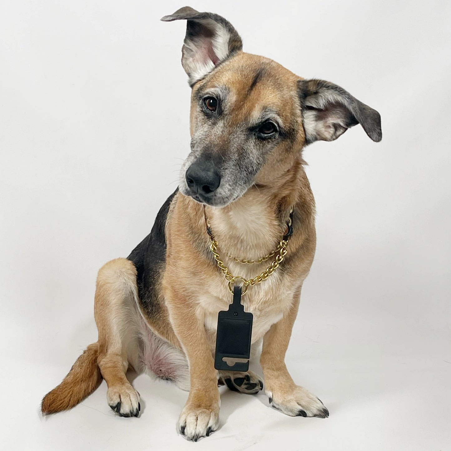 Kotimainen puolikiristävä nahkakaulapanta pehmeällä hirvennahkavuorella.