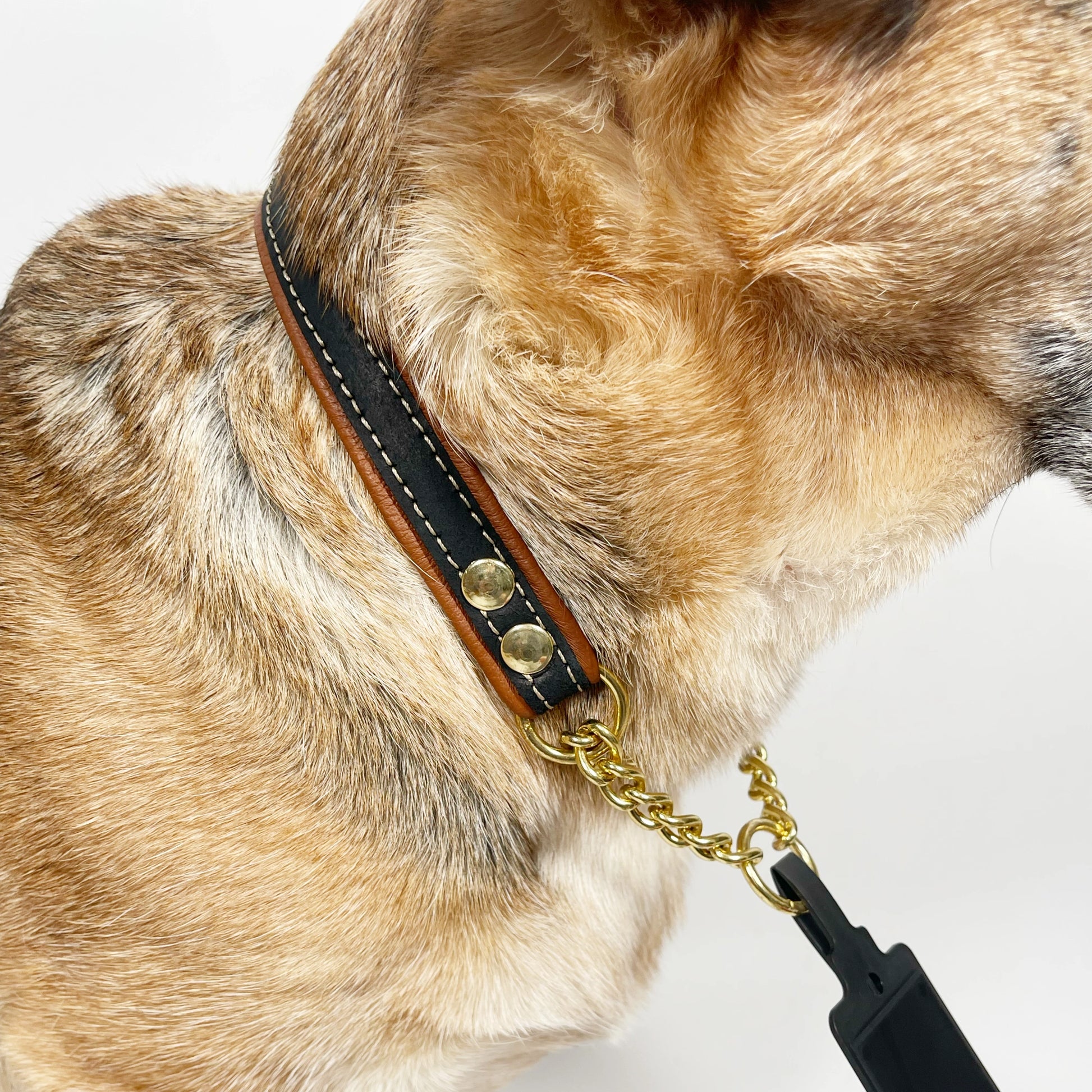 Kotimainen puolikiristävä nahkakaulapanta pehmeällä hirvennahkavuorella.