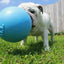 Jolly Ball Tug-n-Toss koiranlelu