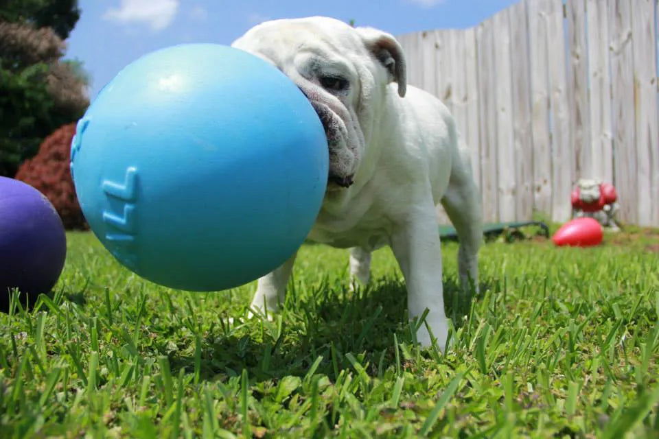 Jolly Ball Tug-n-Toss koiranlelu