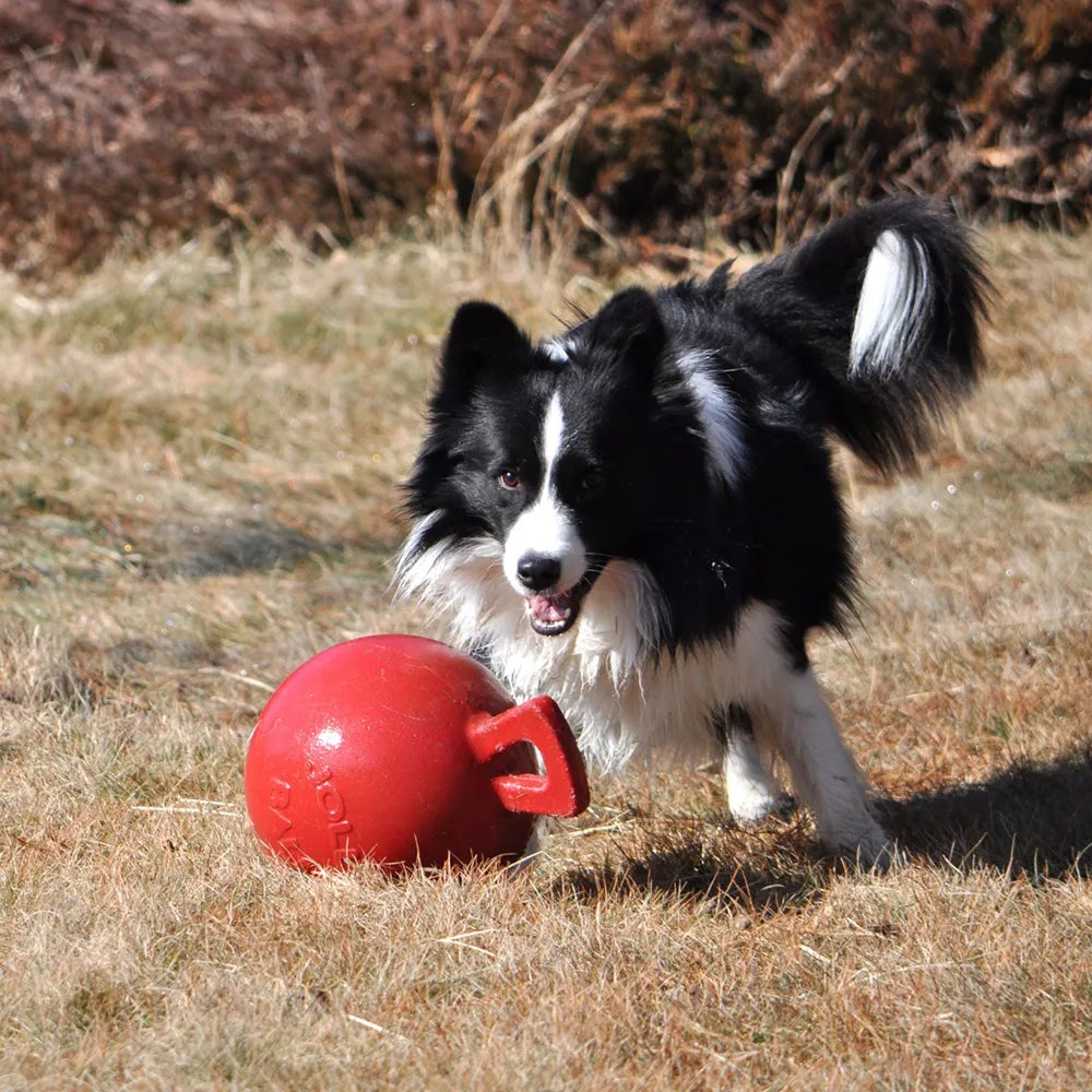 Jolly Ball Tug-n-Toss koiranlelu