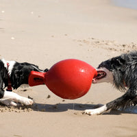 Jolly Ball Tug-n-Toss koiranlelu