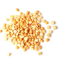 ERA Grain Free Sterilised Adult - Fresh Chicken & Turkey