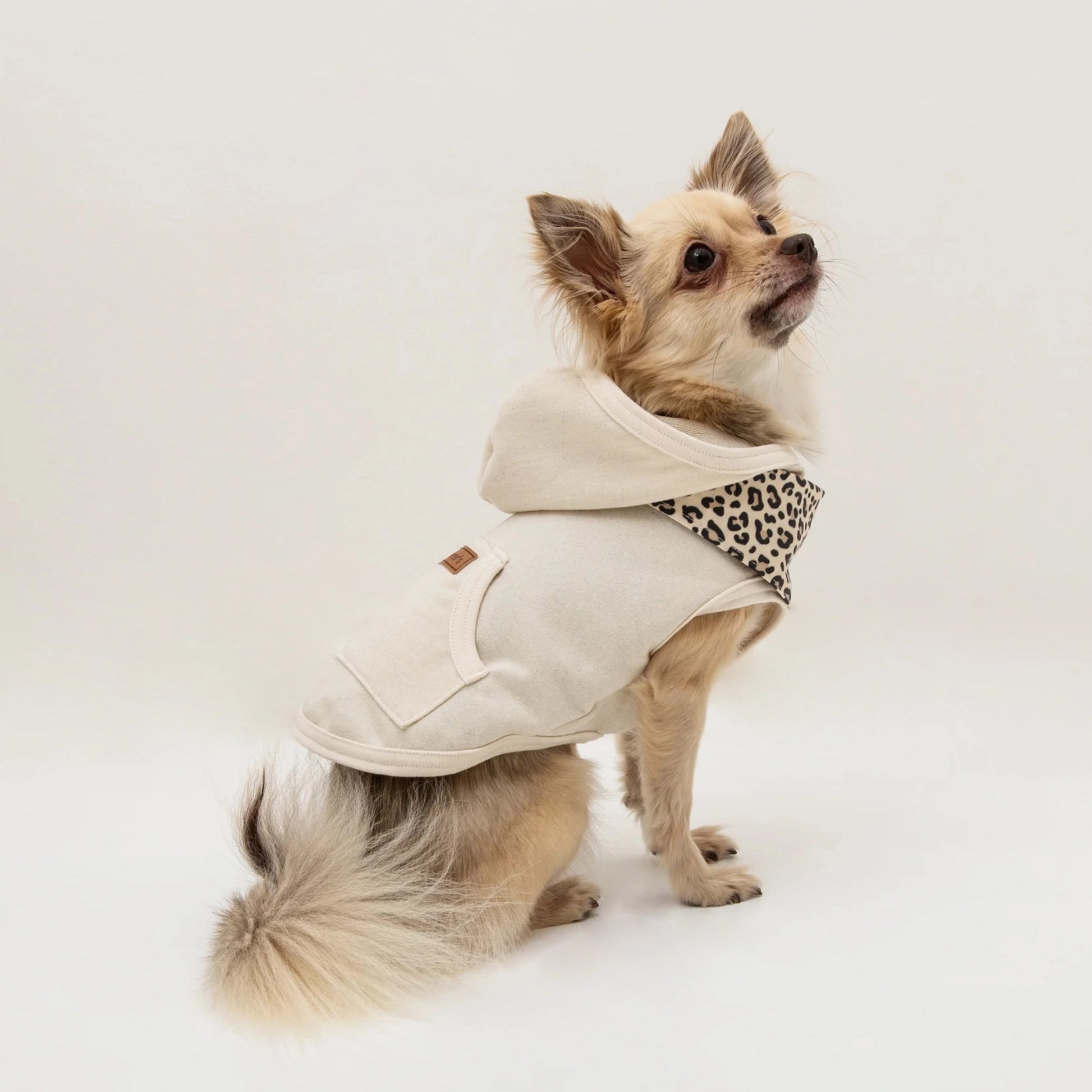 olivers life and style luonnonvalkoinen koiran huppari