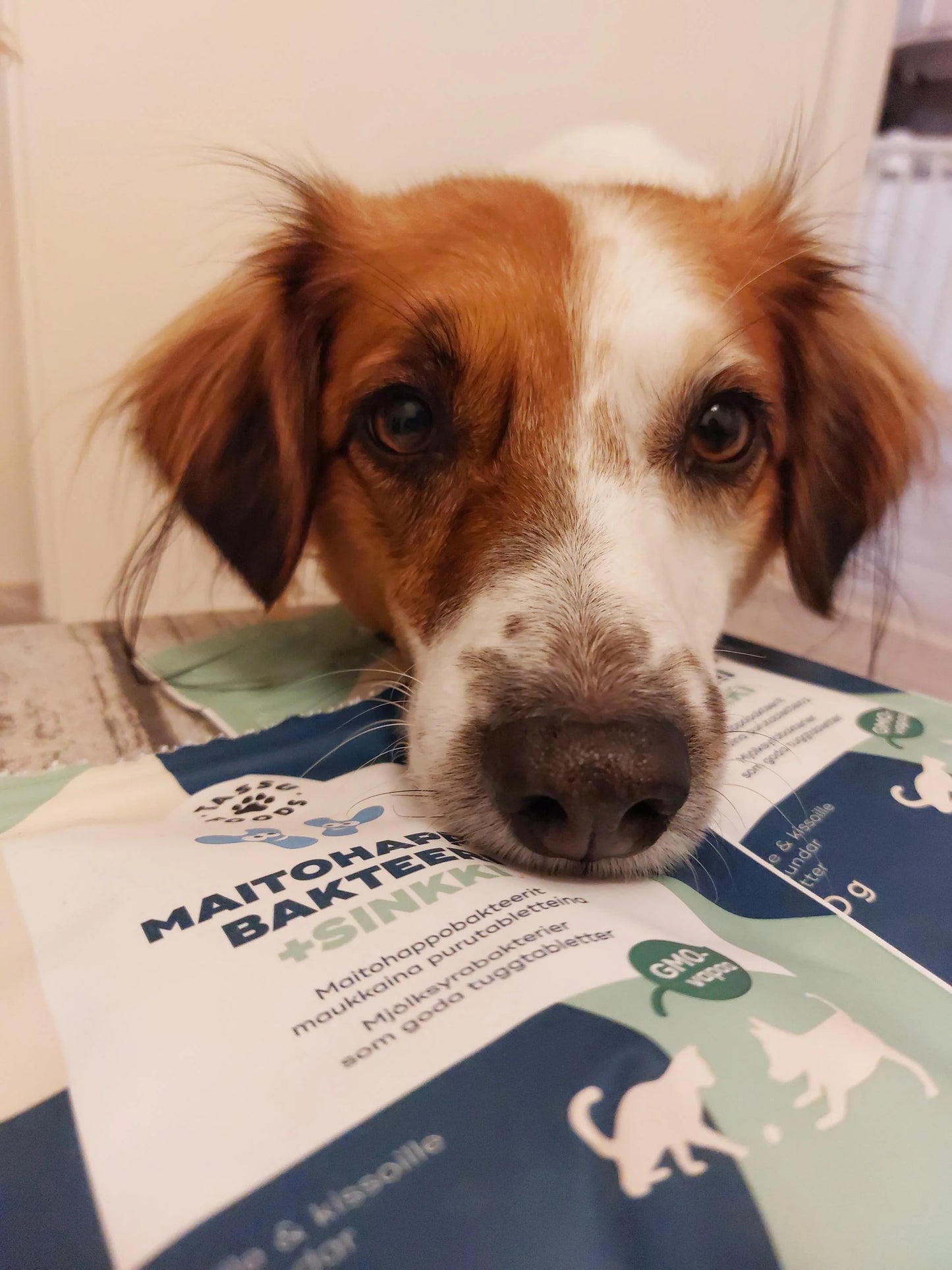 Tassu Foods Maitohappobakteeri + Sinkki 50g