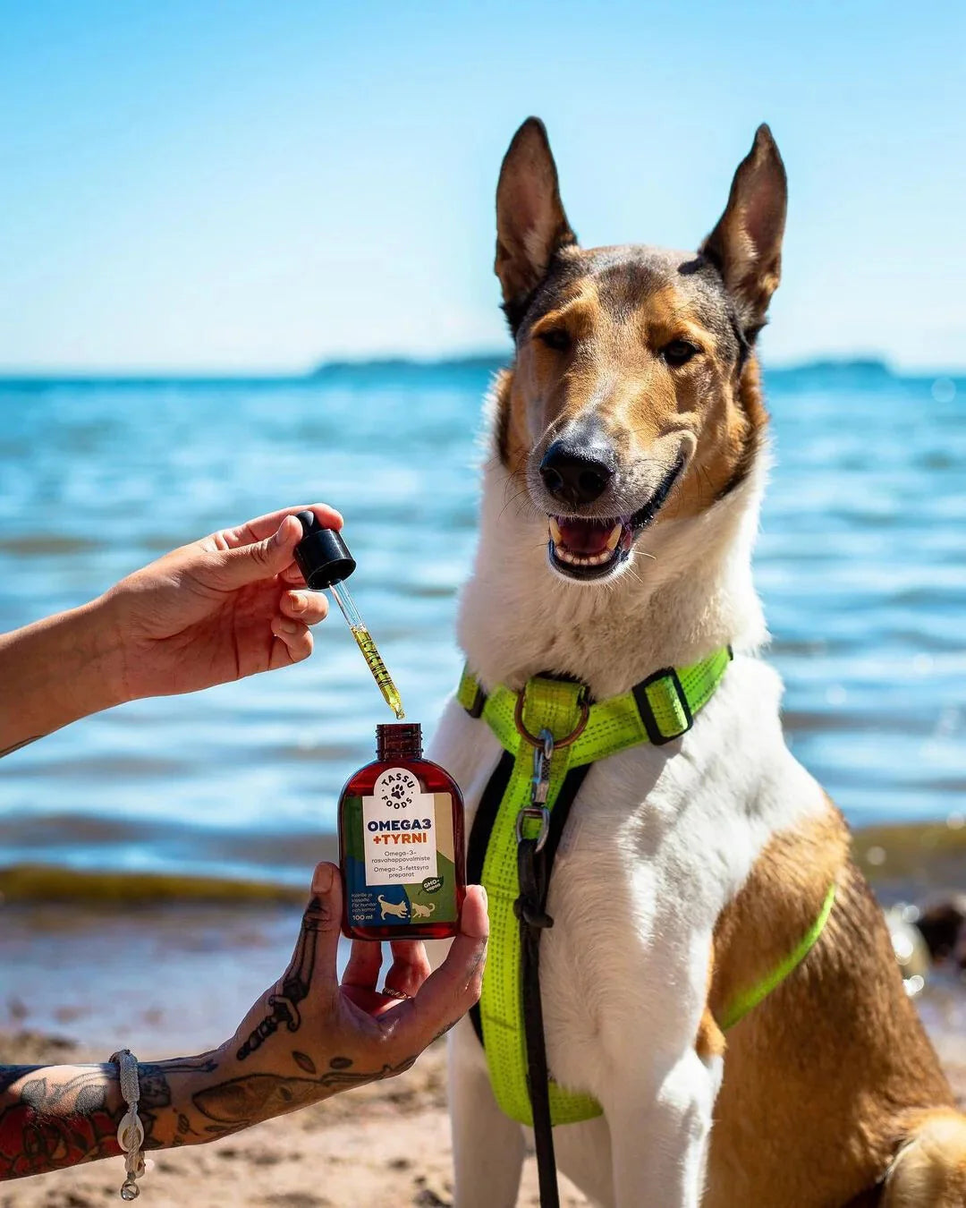 Tassu Foods Omega3 + Tyrni