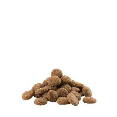 Opti Life Adult Maxi 12,5 kg (PARASTA ENNEN 13.8.2025)