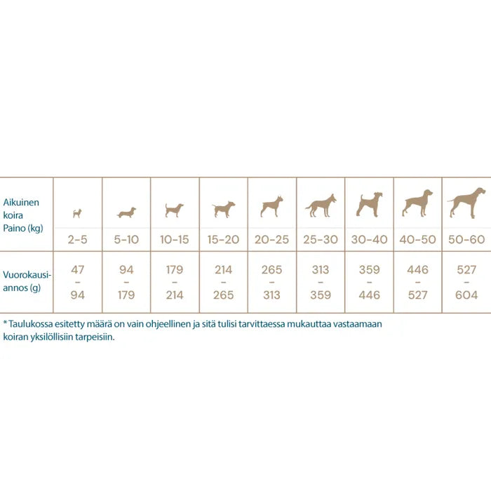 Quattro Dog Adult Lamb All Breeds - Eri kokoja