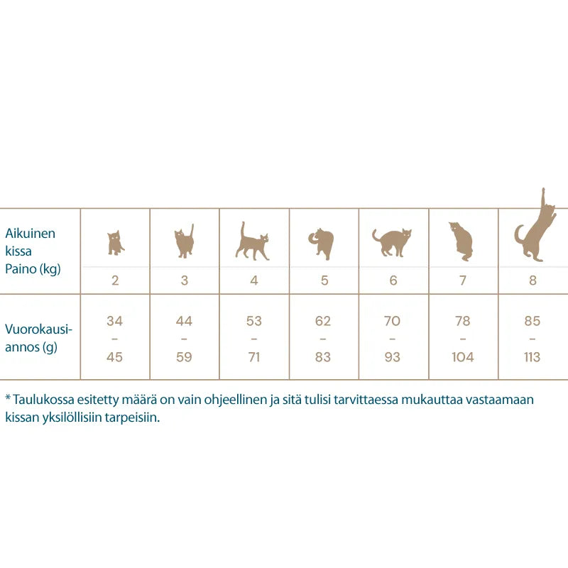 Quattro Cat Adult Extra poultry kissanruoka