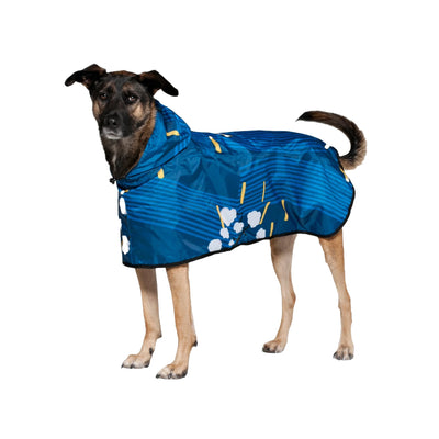 Rainkiss Koiranponcho, Japanese Blossom - Eri kokoja
