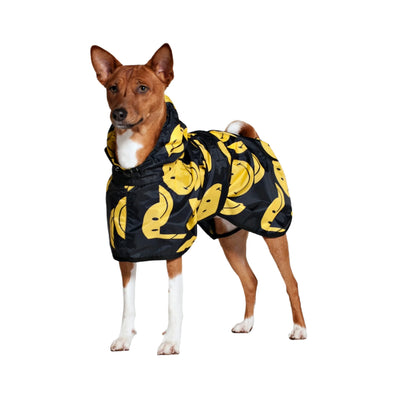 Rainkiss Koiranponcho, All Smiles X Smiley® - Eri kokoja