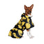 Rainkiss Koiranponcho, All Smiles X Smiley® - Eri kokoja