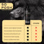 So Posh So Black Shampoo - Eri kokoja