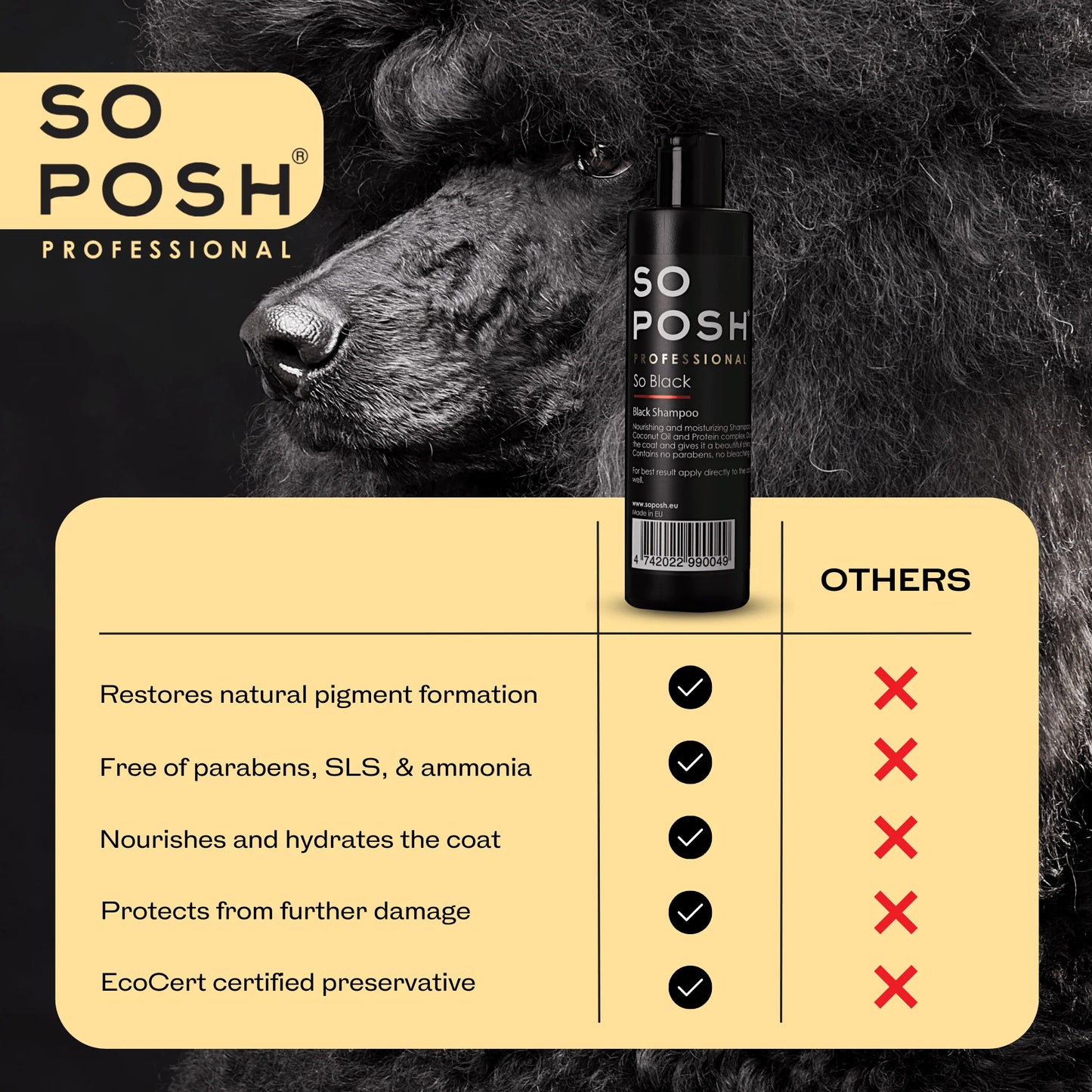 So Posh So Black Shampoo - Eri kokoja