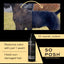 So Posh So Black Shampoo - Eri kokoja
