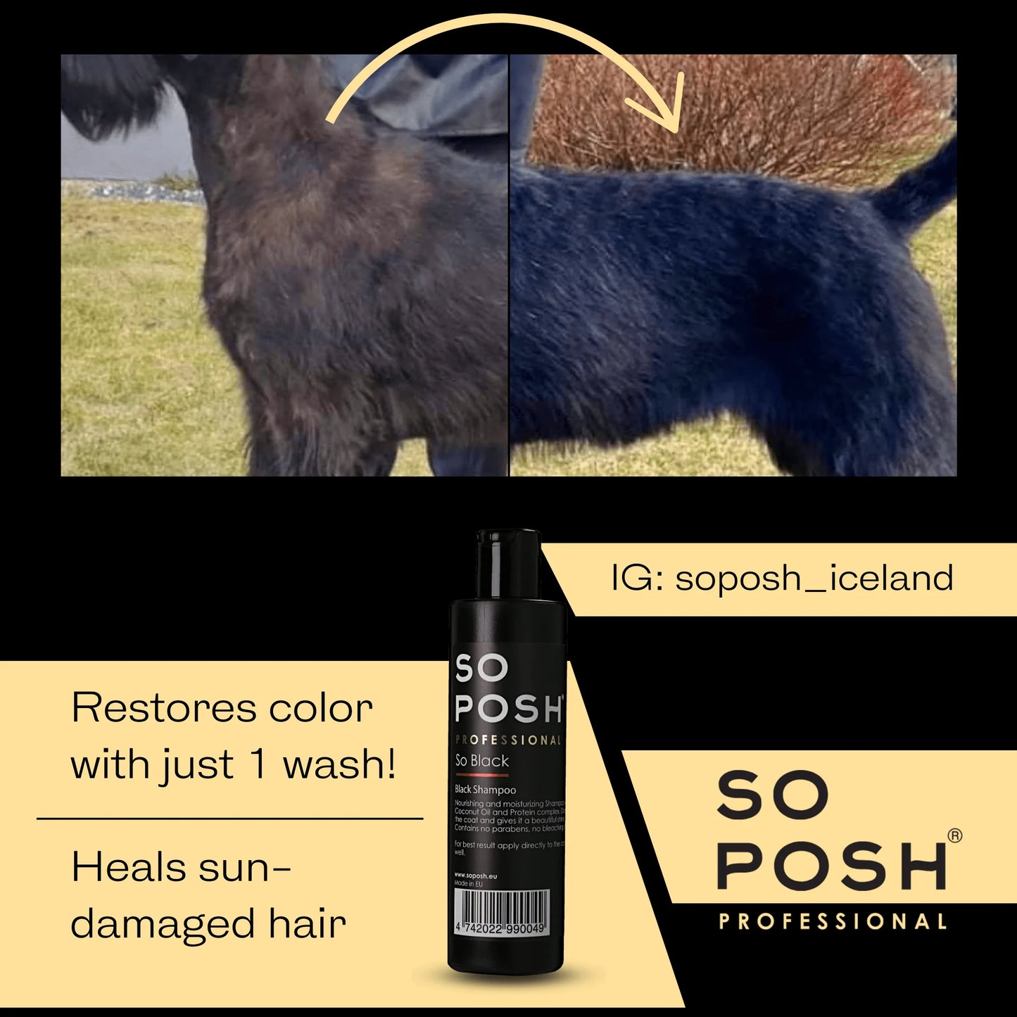 So Posh So Black Shampoo - Eri kokoja
