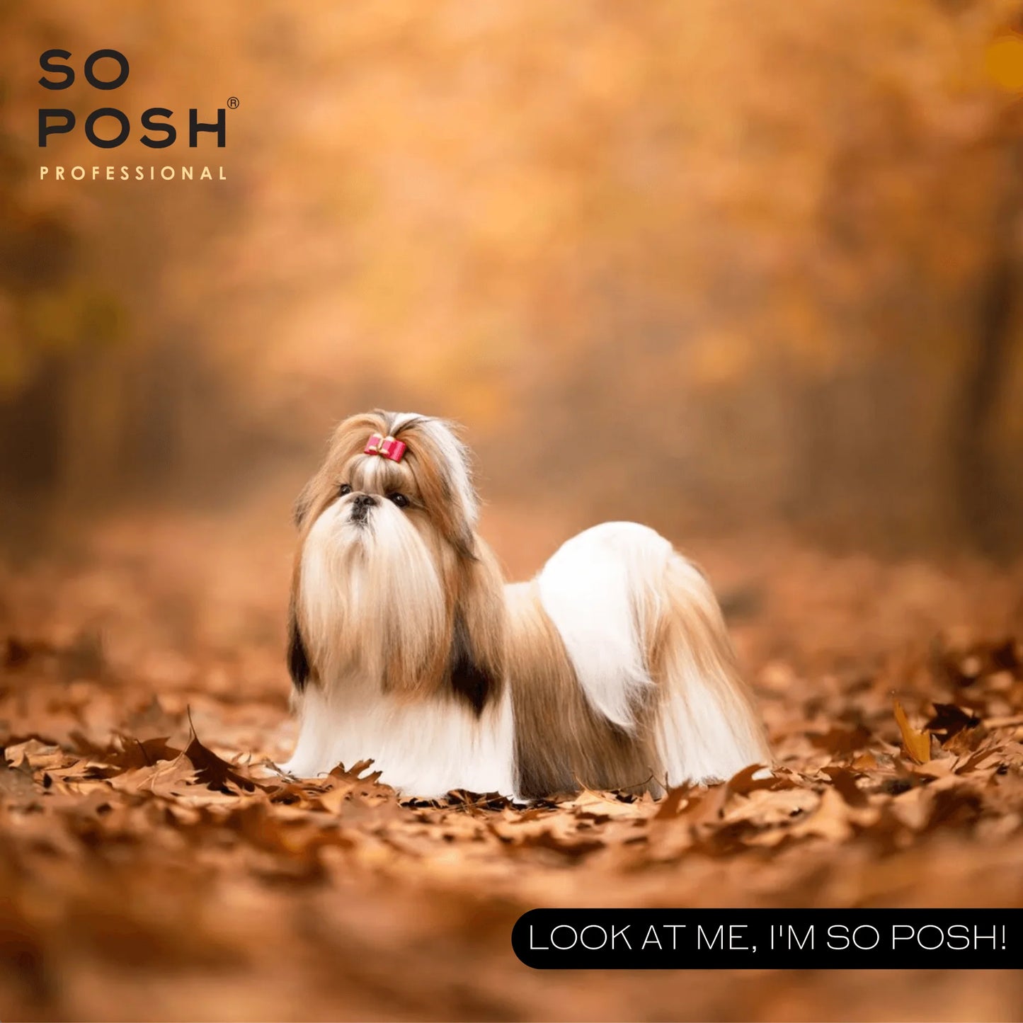 So Posh So Sleek Finishing Cream 250 ml