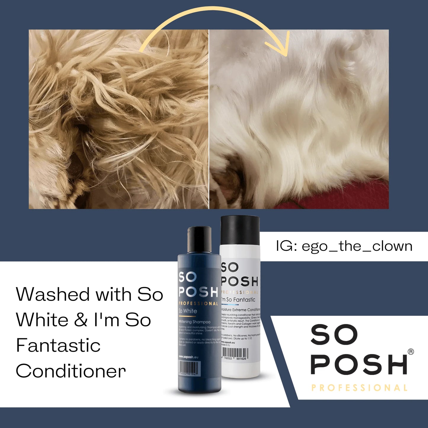 So Posh So White Shampoo - Eri kokoja