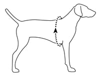 Viilennysliivi koiralle RuffWear Jet Stream