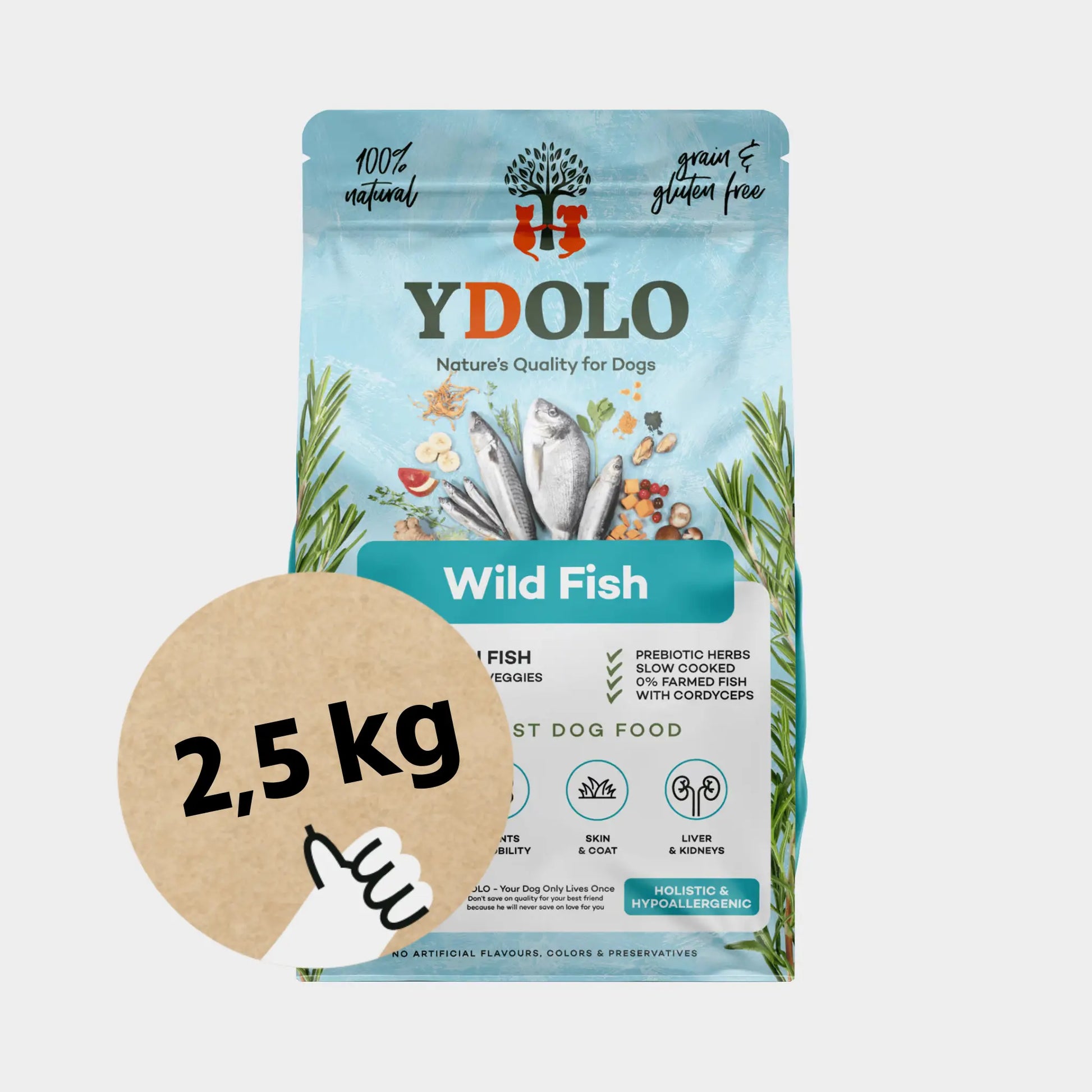 ydolo healthy pure wild fish koiranruoka 2,5kg