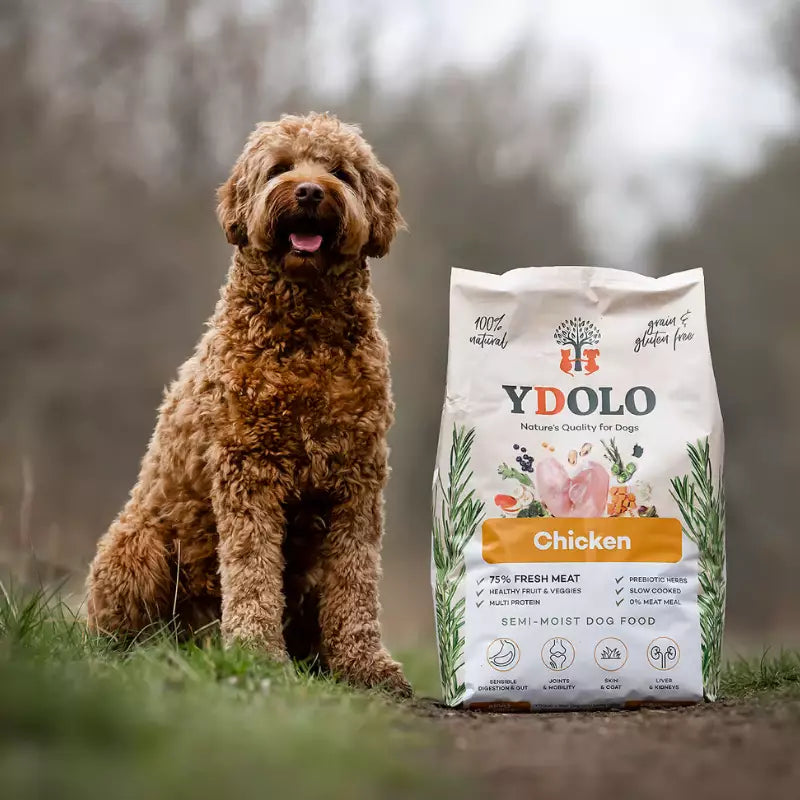 YDOLO Healthy & Pure Chicken - Puolikostea koiranruoka