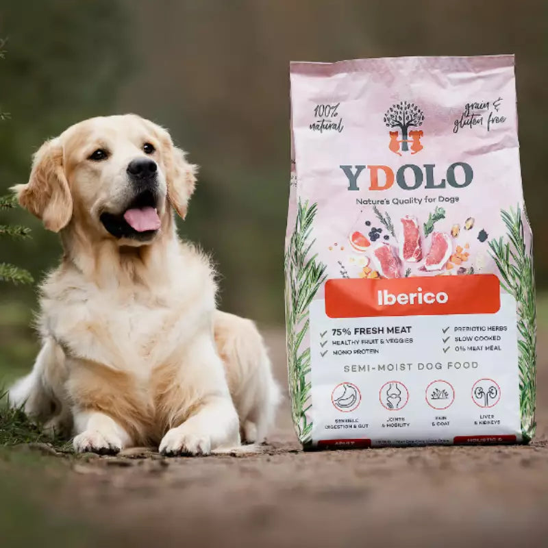 YDOLO Healthy & Pure Iberico - Puolikostea koiranruoka