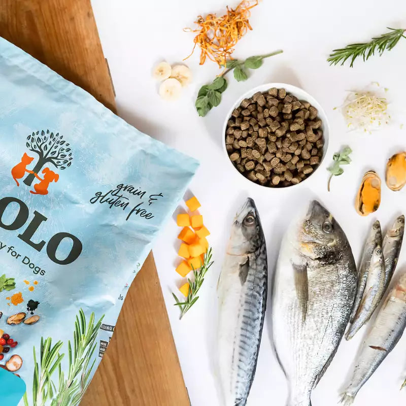 YDOLO Healthy & Pure Wild Fish MINI - Puolikostea koiranruoka