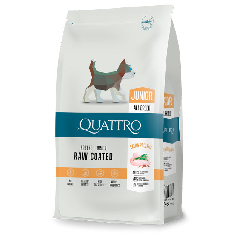 Quattro Dog Junior All Breed