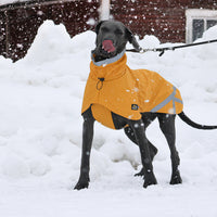 Koiran sadetakki KIVALO Niva