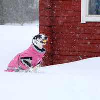 Toppatakki koiralle KIVALO