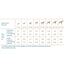 Quattro Dog Sport Adult All breed 12 kg